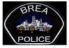 K9 Armor is proud to protect Brea PD K9 Jarvis