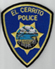 K-9 Armor covered El Cerrito PD K9 King