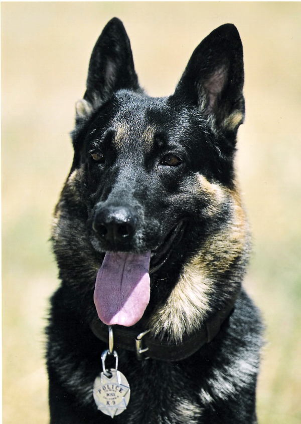 In loving memory of K9 Boss, Fairfax PD In loving memory of K9 Boss, Fairfax PD