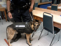 CHP K9 Dax