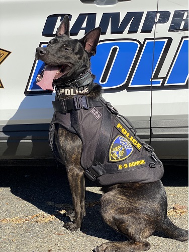 K-9 Bruno Retires from the Sonoma County Sheriff's Office