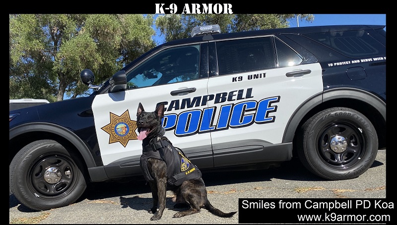 Campbell Police K9 Koa in his K-9 ARMOR vest May 2022