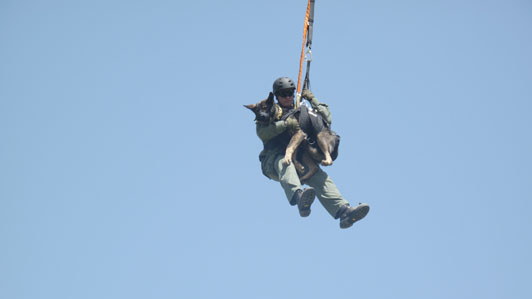Photo of California Department of Fish and Game K9 by National Geographic Wild Justice