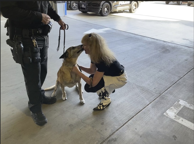 Donate to protect El Segundo PD K9 Xena