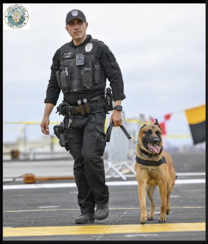 We promised K9 Armor vests to LA Port Police for Officer Flores, K9 Team Leader pictured with his partner Wako on the USS Carl Vinson
