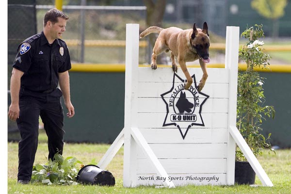 Petaluma PD K9 Officer Cox and Max 