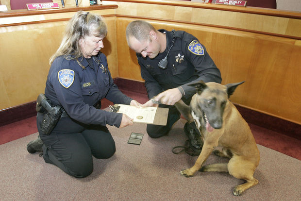 Lt. Peecook swearing in Napa PD K9 Rocky with a little help from his partner, Officer Brett Muratori