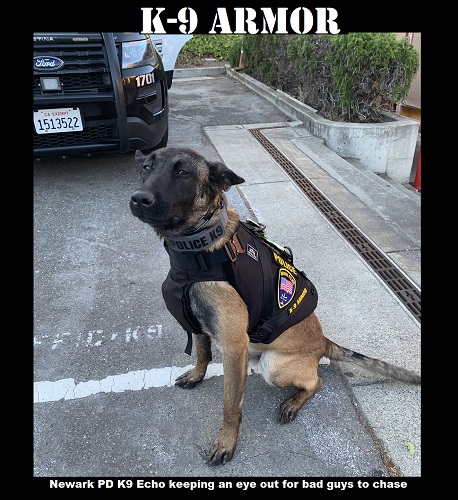 Newark PD K9 Echo keeping an eye out for bad guys