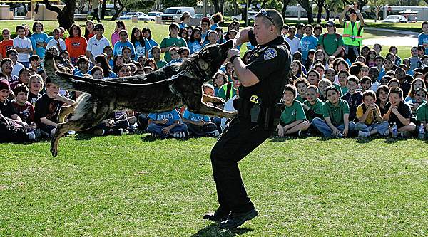 Palm Springs Officer Luciano Colantuano and K9 Ike, police dog Palm Springs Officer Luciano Colantuano and K9 Ike, police dog