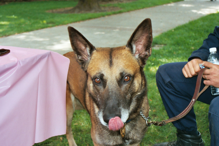 K9 Rexx and Officer Romano, CHP at K9 Carnival 2005 K9 Rexx and Officer Romano, CHP at K9 Carnival 2005