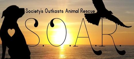 Click to visit SOAR Animal Rescue on Facebook