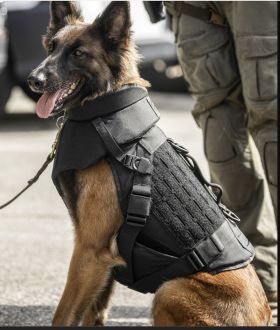 Vests retail 4000 dollars for the lightest model P7 K9 Armor from Aardvark Tactical