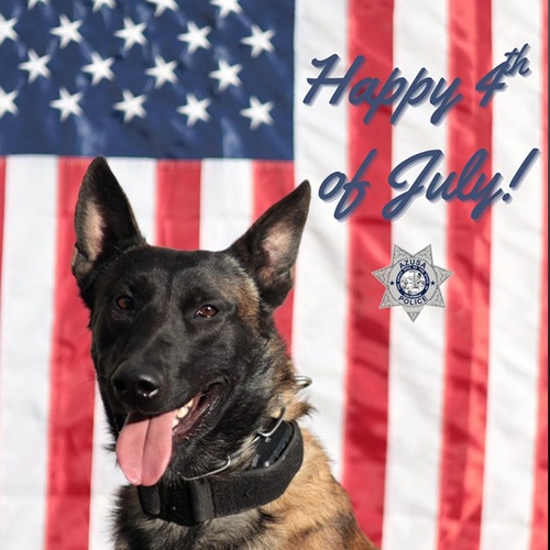 Donate to protect Azusa PD K9 Red